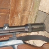 Sauer